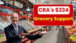 CRA’s $234 Grocery Rebate: Financial Relief Arriving in August 2025